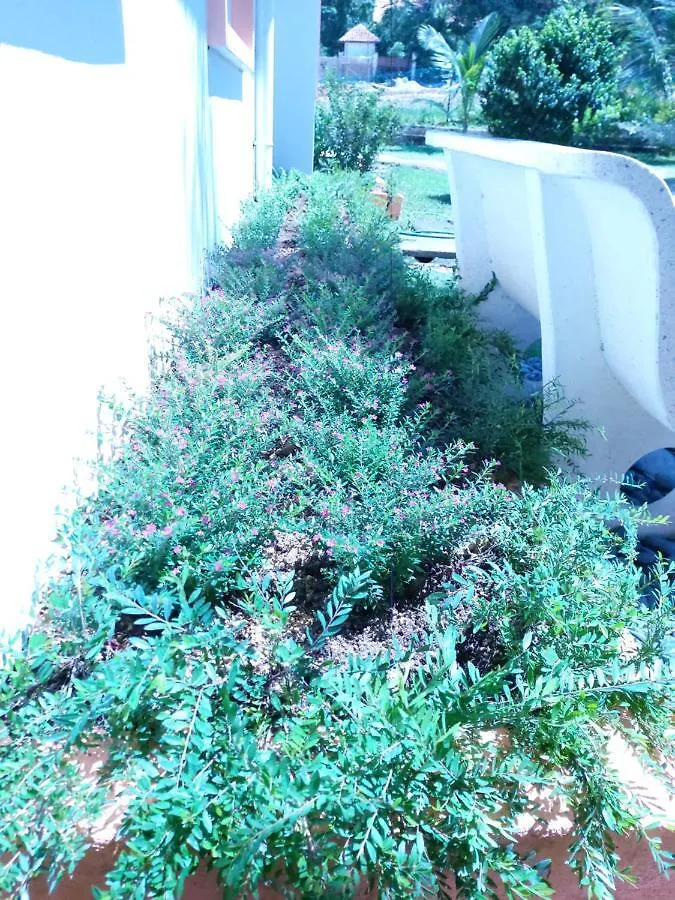 Homestay Villa Solihin Sungai Buloh Malaysia