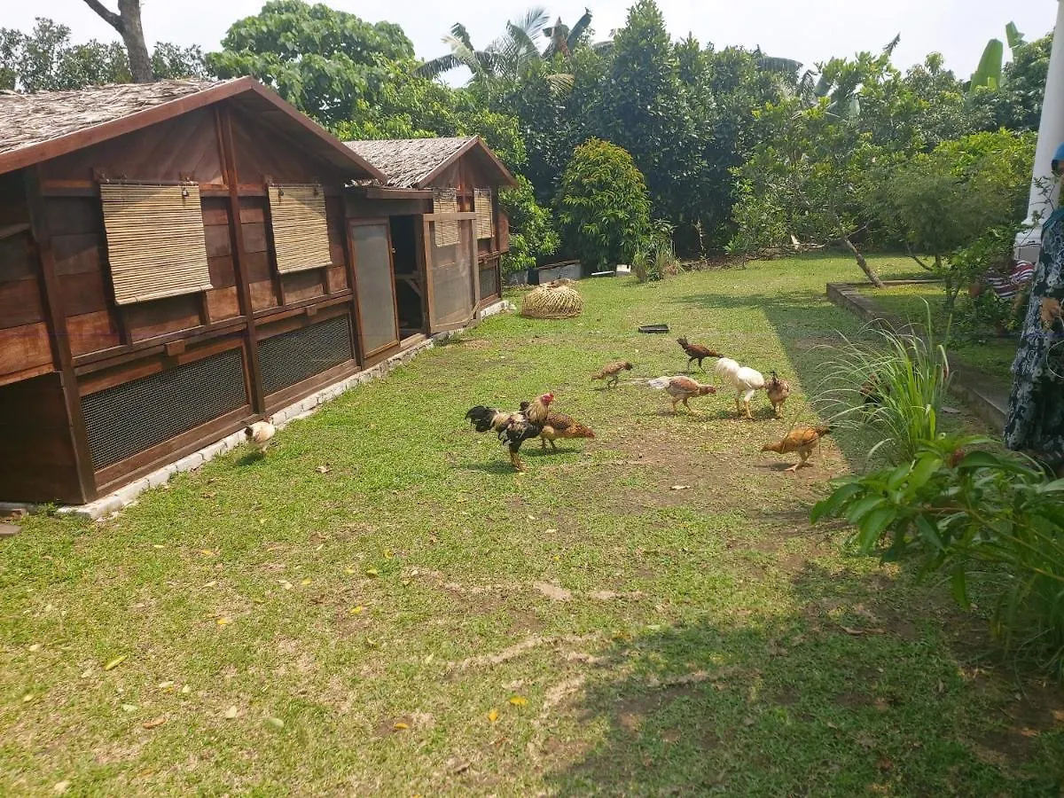 Homestay Villa Solihin Sungai Buloh 0*,  Malaysia